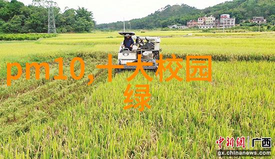 浙江建成首个绿电码头每年减少二氧化碳排放约226万吨