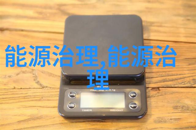隆基绿能亮相COP29 倡导以绿色创新加速能源公正转型