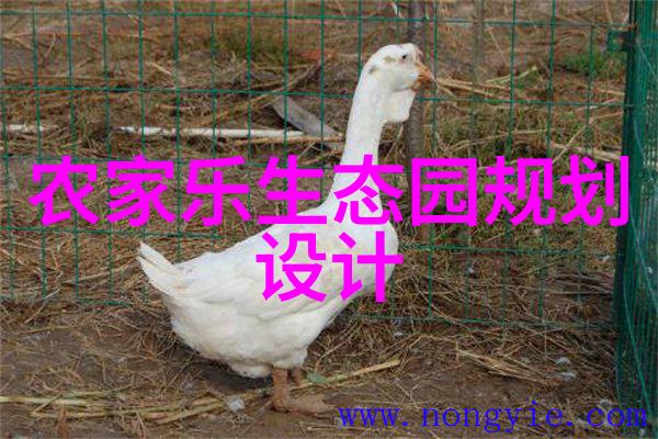 我国绿氢规模化应用实现零的突破