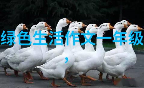 国家能源局 生态环境部有关负责同志就关于做好可再生能源绿色电力证书与自愿减排市场衔接工作的通知答记者